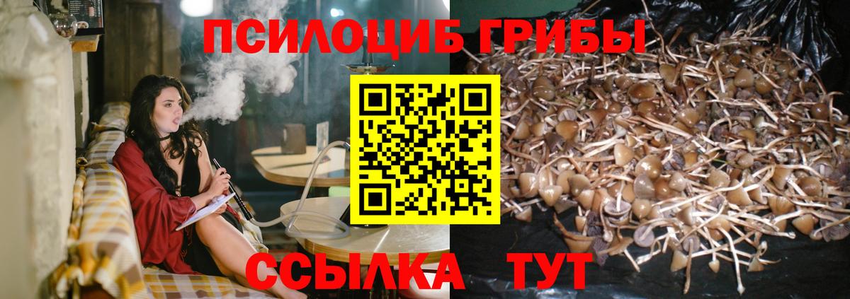 Альметьевск  Галлюциногенные грибы Psilocybine cubensis  где продают   Вход с VPN 